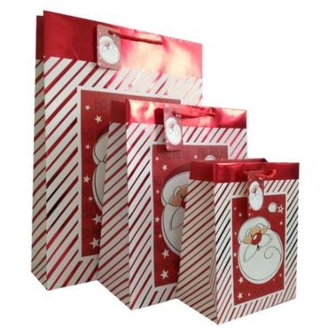 Red foil boarder christmas gift bags