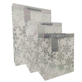 Related paper bag-1