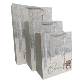Related paper bag-3