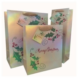 Related paper bag-4