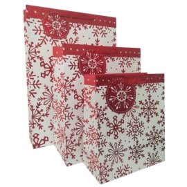 Related paper bag-7