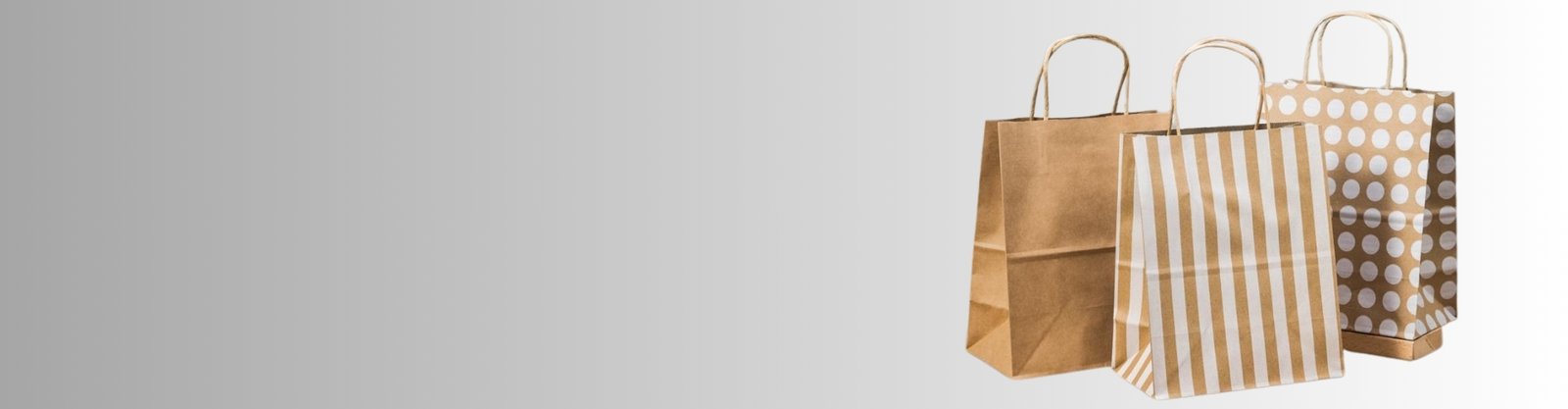 Brown paper bags-banner