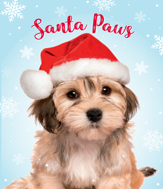 Free christmas pattern 8-1
