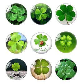 Custom domed sticker-related products-3